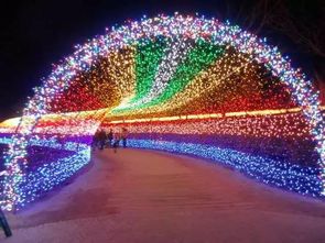 黃河岸邊不夜天 千萬彩燈鑄就光影奇境，點亮舌尖上的文旅盛宴